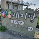 제이팜휴양펜션 | 제주 서귀포펜션 제이팜휴양펜션♥