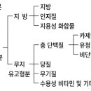 일본포장기술 편람(식품의 포장) - 24 우유, 유제품(2) 이미지