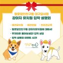 털로덮인친구들 달서점 이미지
