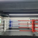 청무체육관 (킥복싱) 이미지