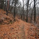 양산타이어백화점 이미지