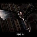 허브빈 이미지