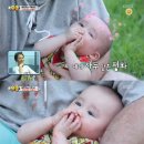 샘 이미지
