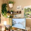 책상 위의 작은 정원, 테라리움 만들기 이미지