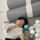 꽃핀다 이미지
