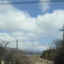 스타빌 | [제주] 제주 스타빌 후기 ㅣ 유르트 2인실 + 바베큐 + 별 관측까지 솔직 리뷰