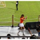 서귀포월드컵경기장 이미지