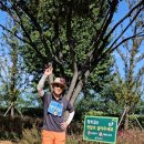 우로지 자연숲 황토길 이미지