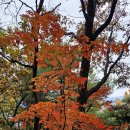 송학사 | 모악산 마고암~대원사