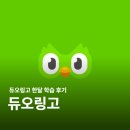 (주)삼득산업 | 듀오링고 패밀리 영어공부 어플 추천, 한달학습 후기