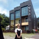 더비치핑크스