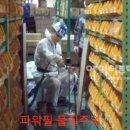 지반엔지니어링 네이버블로그