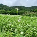 신흥보건진료소 이미지