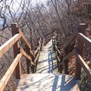 정상(대구)