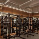 온니원피트니스 이미지