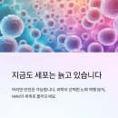 트루니아 | 노화의 종말 "NMN영양제"