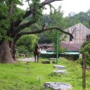 다산2리 이미지