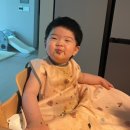 김국당 | 후기이유식 유아식 아기 김국 과 김 효능