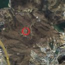 분당-236 이미지