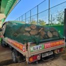 하갈동 족구장 이미지