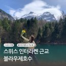 메이플 스토리 애견샵 | 스위스 블라우제호수 가는법 입장료 인터라켄 근교 여행 블라우제자연공원