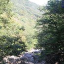 피아골 단풍공원 이미지