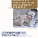 욜랑욜랑 네이버블로그