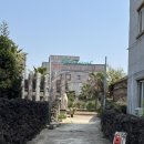 제주 박한별카페 벨진밧 제주투어패스 이용