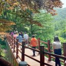 좌구산 휴양림 관리사무소 이미지