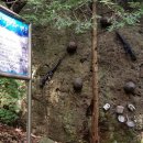 함평이야기 이미지