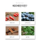 카포리아 | 베르베린효능, 카포리아 뉴트리돔 베르베린 직구후기