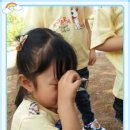 꿈꾸는 숲 이미지