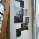 에그트리 | [경기오산] 브런치 추천 | 트리비(treeb) 에그인헬·골뱅이파스타·감자뇨끼 솔직후기