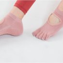 달리삭스 이미지