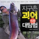 지구촌 요리기행 | 지구촌 괴어 대탐험