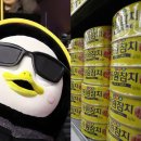 참치클럽 위키트리