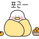 대전맛집풍국면 이미지
