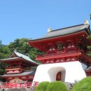 (주) 인터내셔날관광여행사 이미지