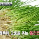 건강한 새싹 이미지