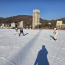 휘닉스파크 이미지