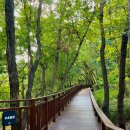 서리풀공원1-2 이미지