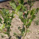 오덕농장 이미지