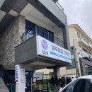 [제주 스노쿨링/스쿠버다이빙 추천] 서귀포시 블루웨일 다이브 내돈내산 솔직후기 +가격
