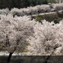 마굿들식당 이미지