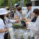 우리목재 이미지