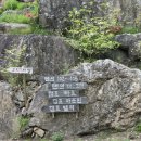 별그리다펜션 이미지