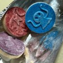 효지미 | 어서 오고 겨울