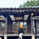 보성읍 보성여자경로당 | 보성 / 10년간 공들여 만든 한옥카페 / 춘운서옥