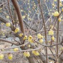 휘게마을 이미지