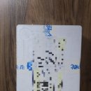농라 심씨네 젓갈 파지 명란젓 1kg 후기 파지명란젓 상태 맛 맛있게 먹는법 후기
